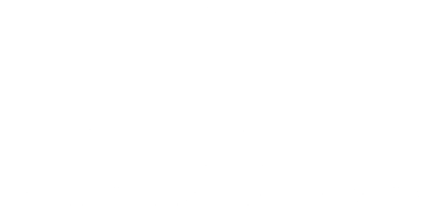 ACE reverse logo-2.png